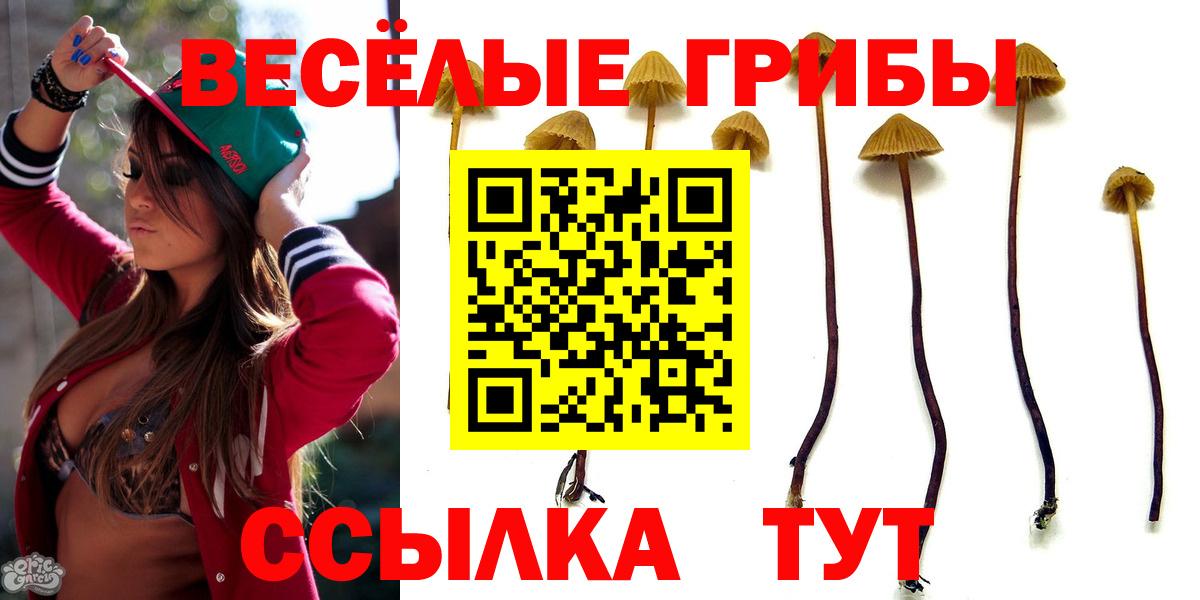 Псилоцибиновые грибы MAGIC MUSHROOMS  Вход с VPN  Реутов 